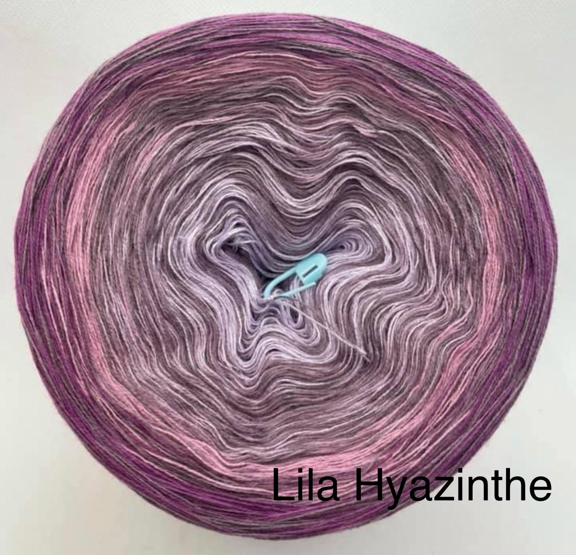Lila Hyazinthe