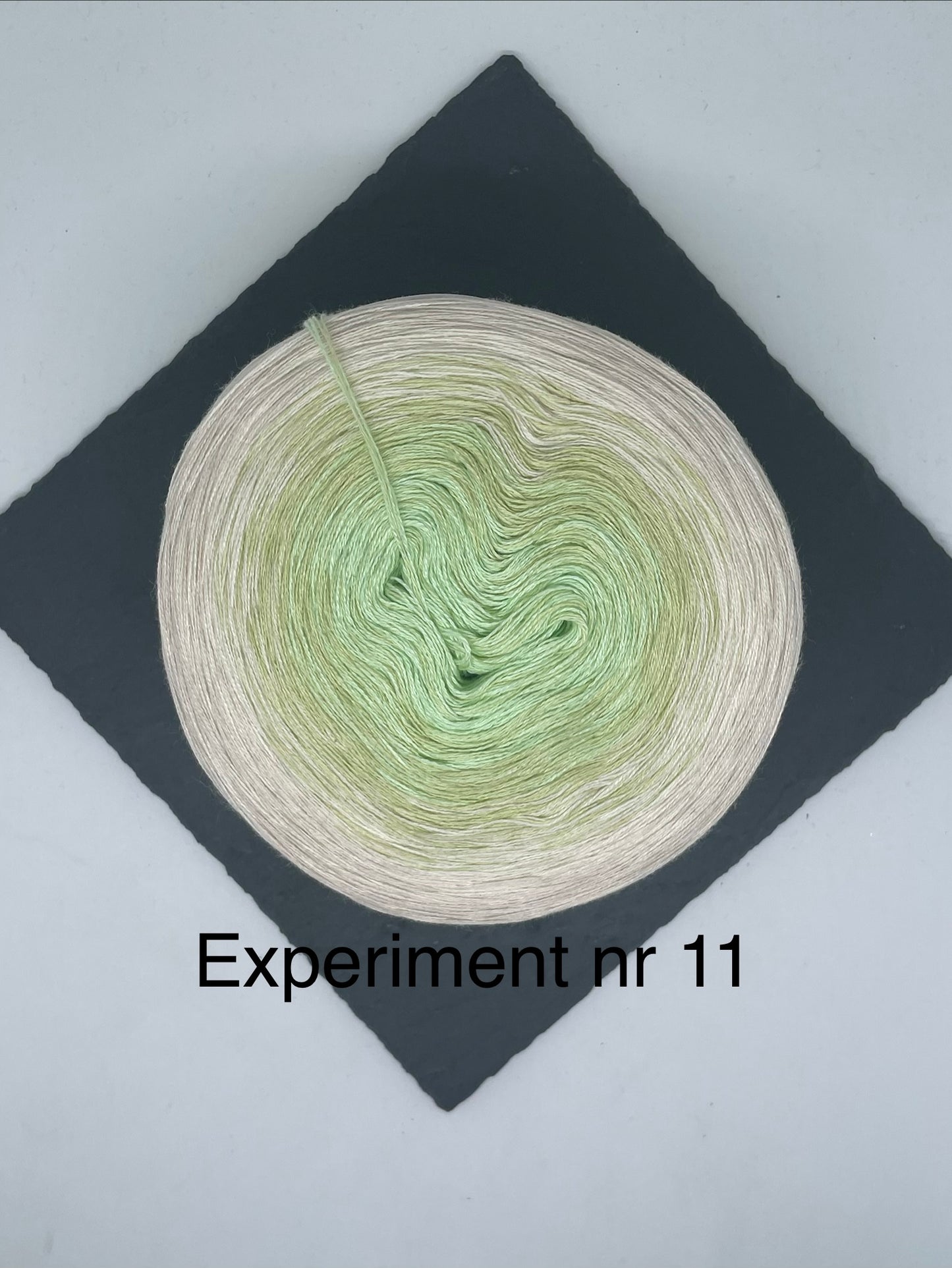 Experiment nr 11