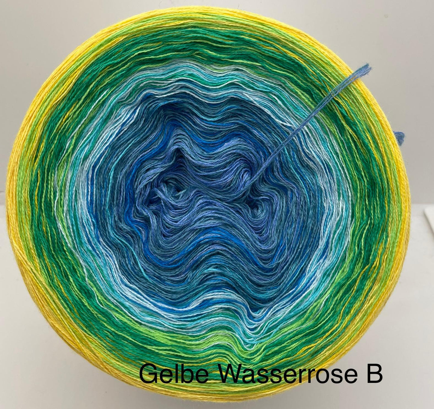 Gelbe Wasserrose B