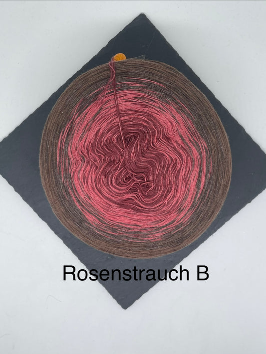 Rosenstrauch B
