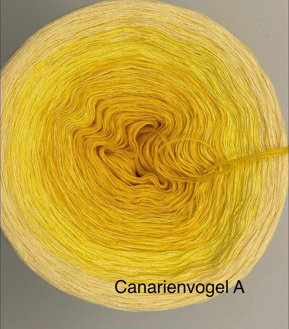 Canarienvogel A