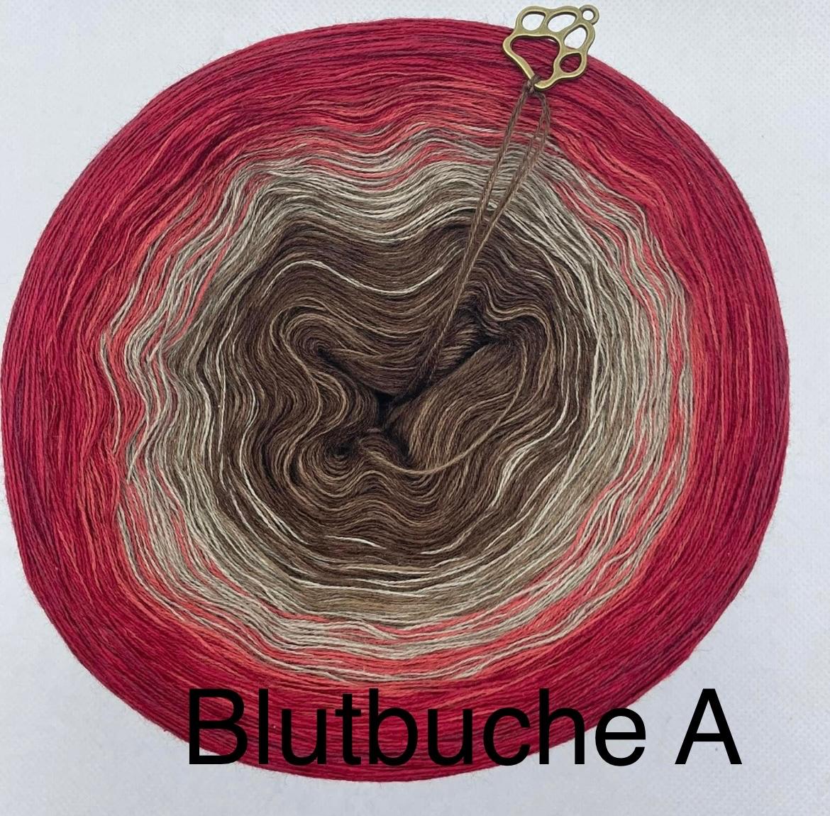 Blutbuche A