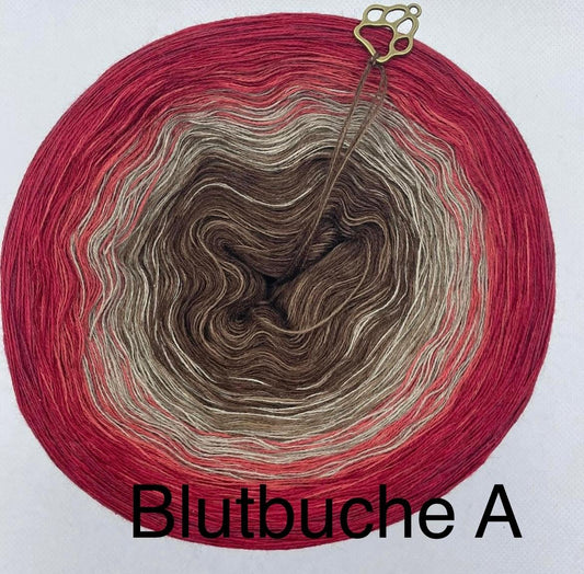 Blutbuche A