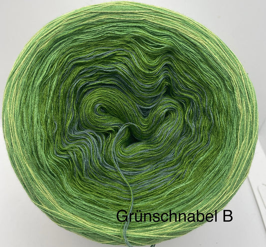 Grünschnabel B