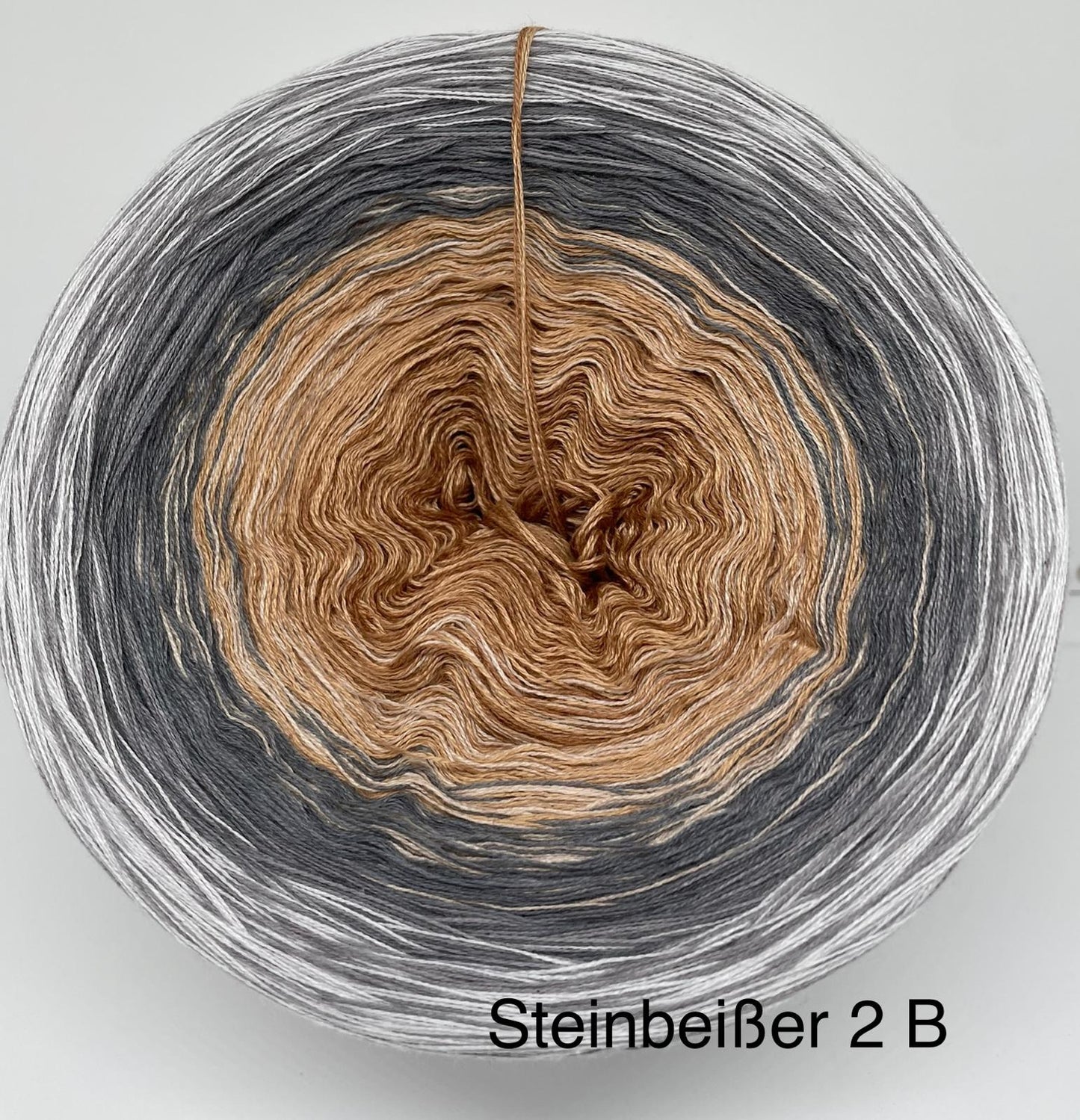 Steinbeißer 2 B