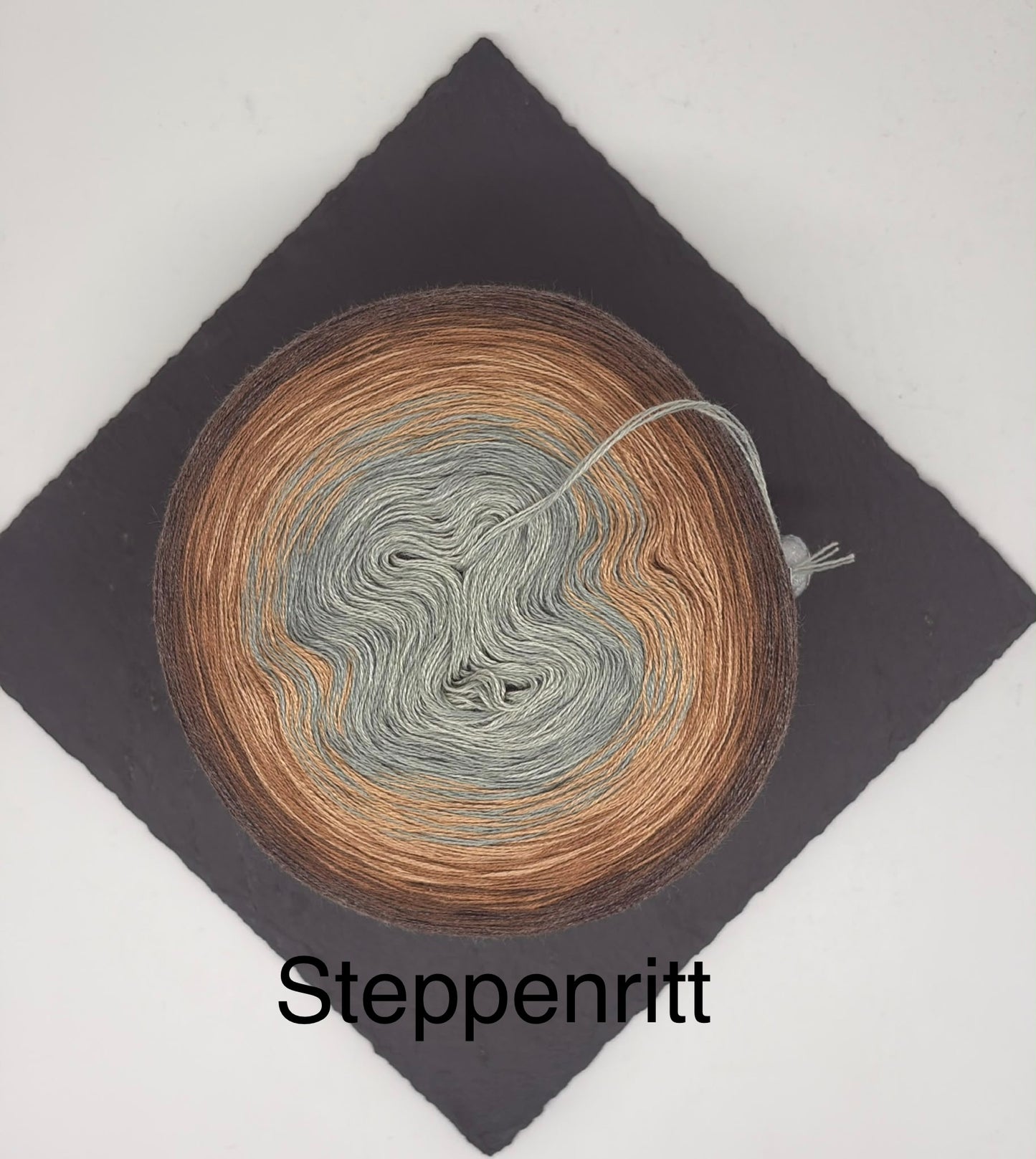 Steppenritt