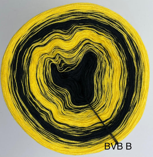 BVB B