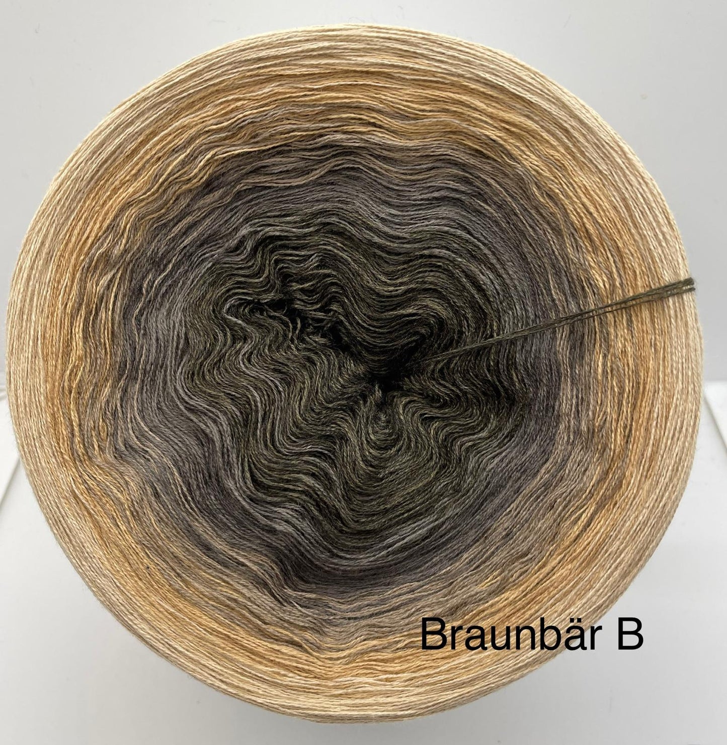 Braunbär B