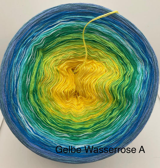 Gelbe Wasserrose A