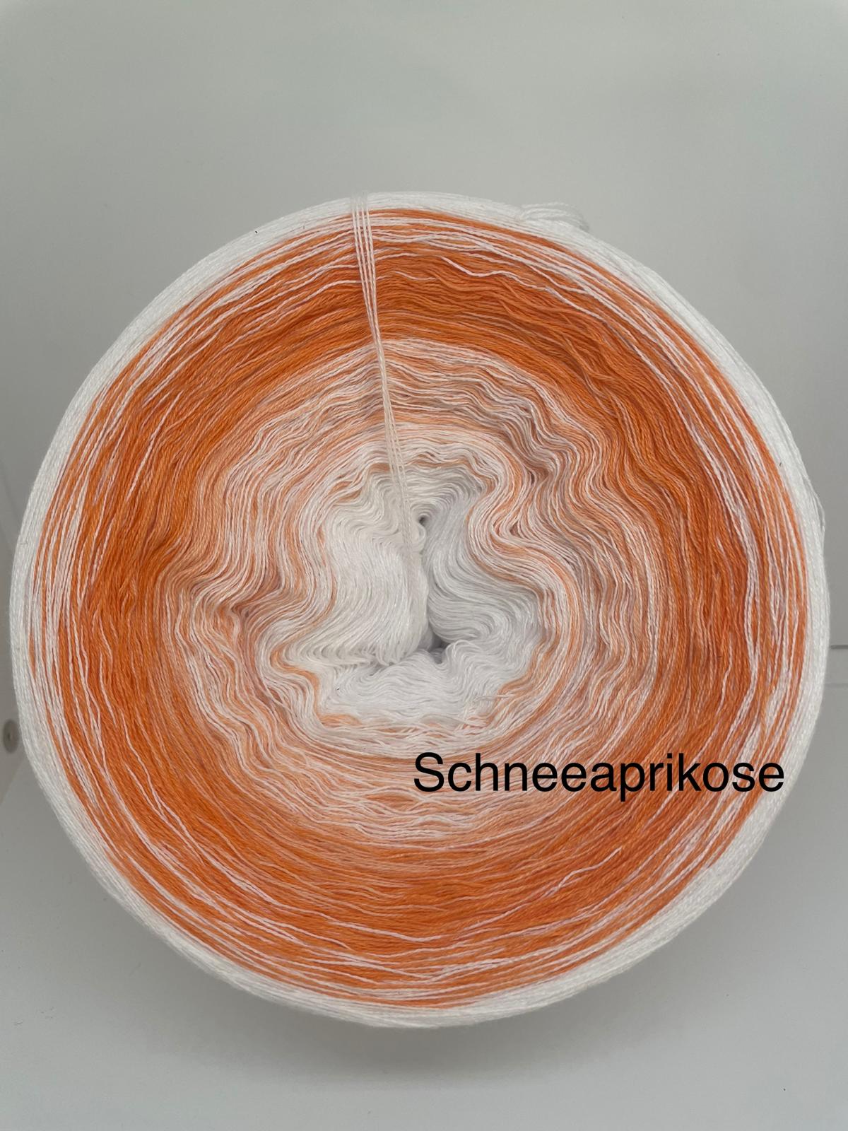 Schneeaprikose
