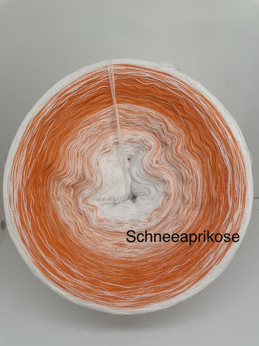 Schneeaprikose