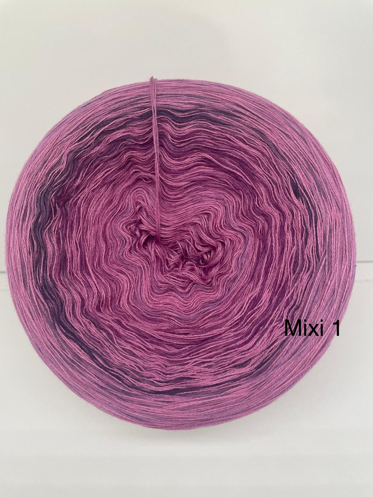 Mixi 1