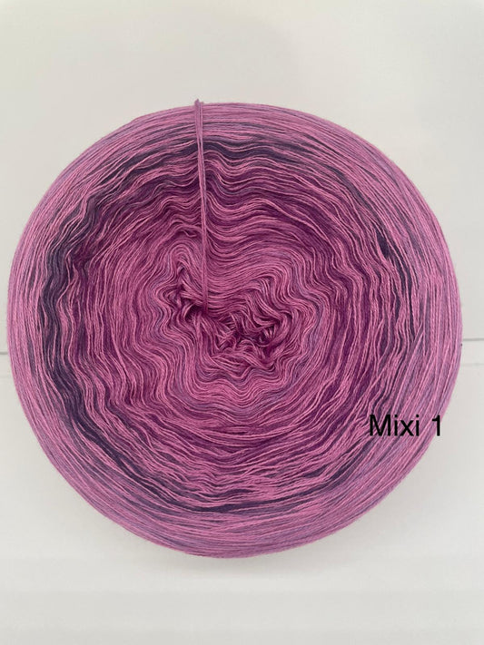 Mixi 1