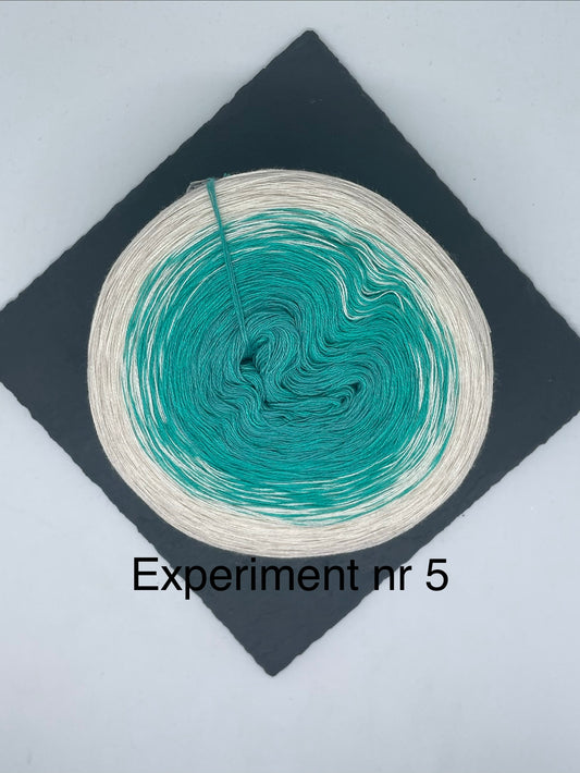 Experiment nr 5