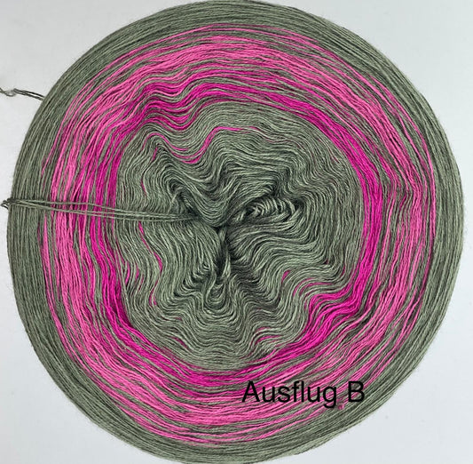 Ausflug B