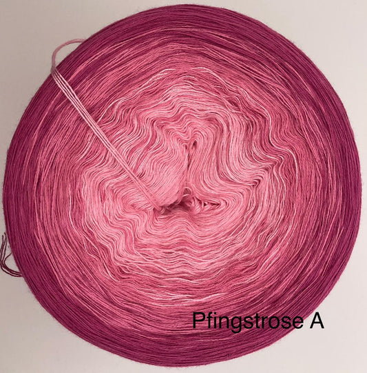 Pfingstrose A