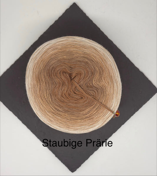 Staubige Prärie