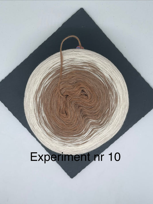 Experiment nr 10
