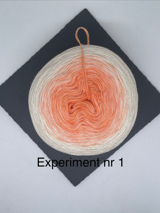 Experiment nr 1