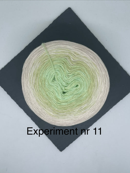 Experiment nr 11