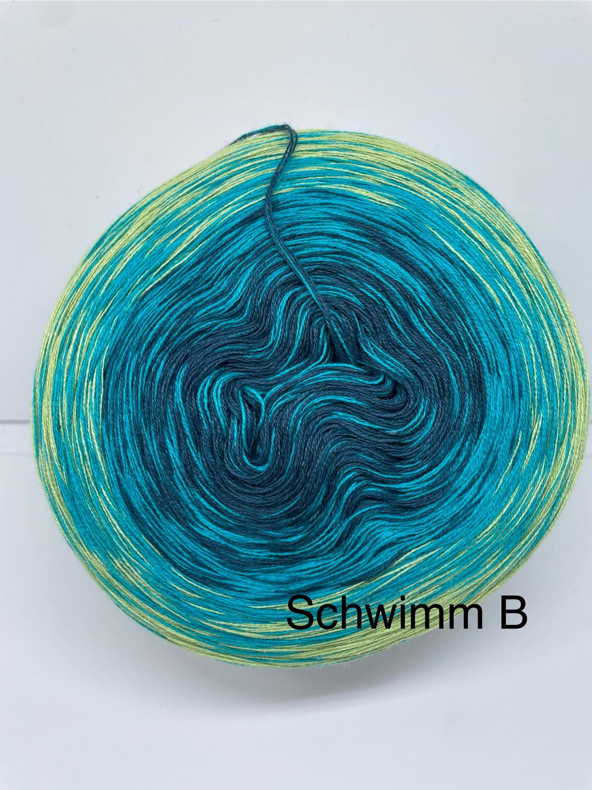 Schwimm B