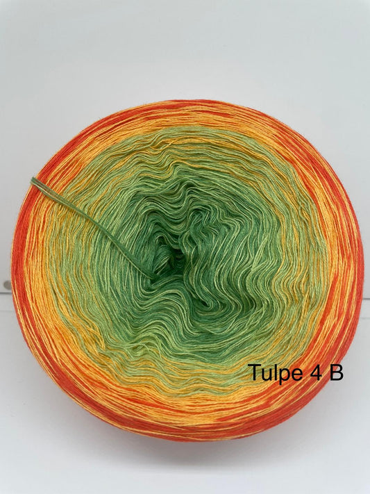 Tulpe 4 B