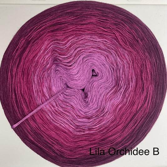Lila Orchideen B