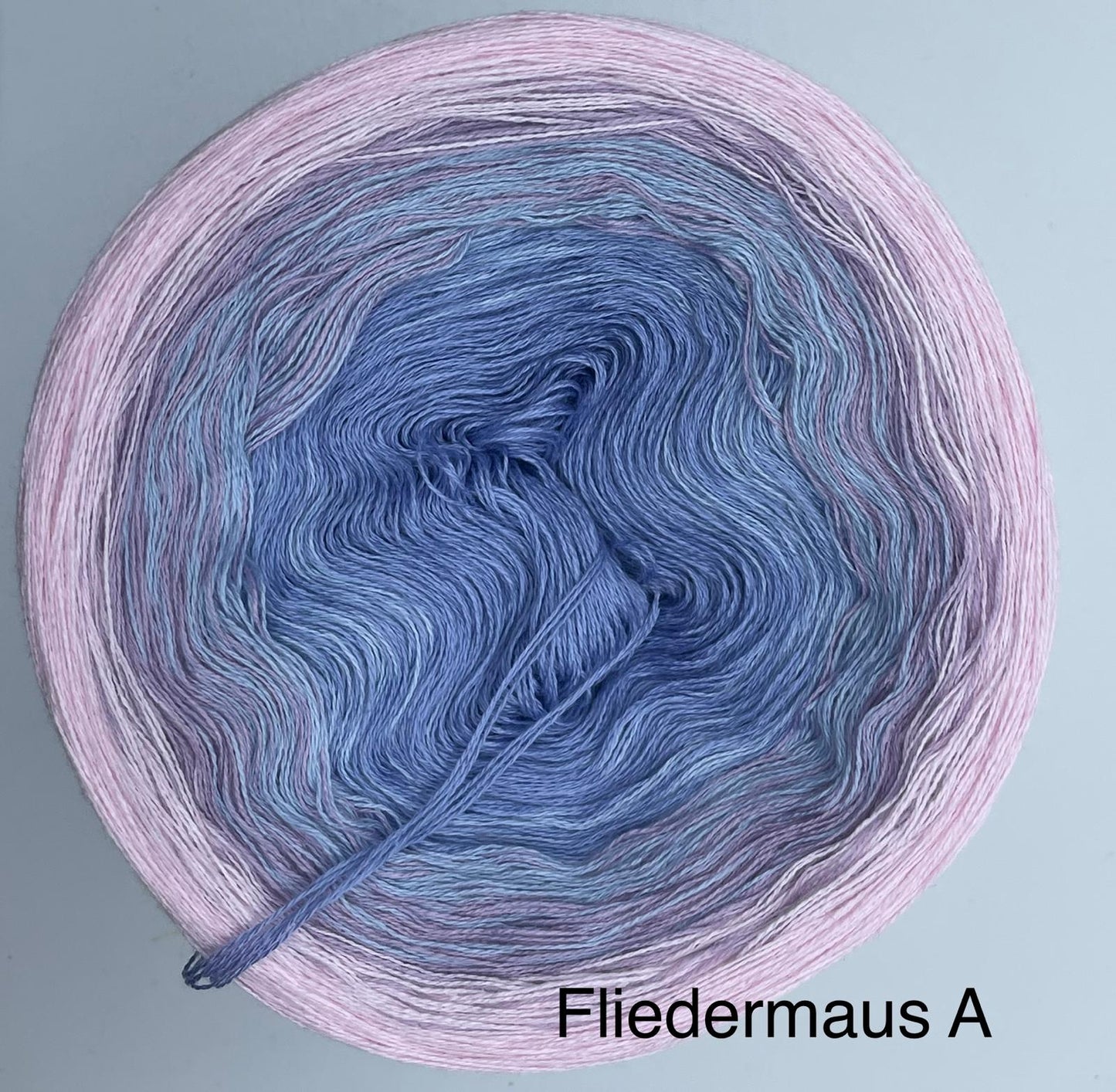 Fliedermaus A